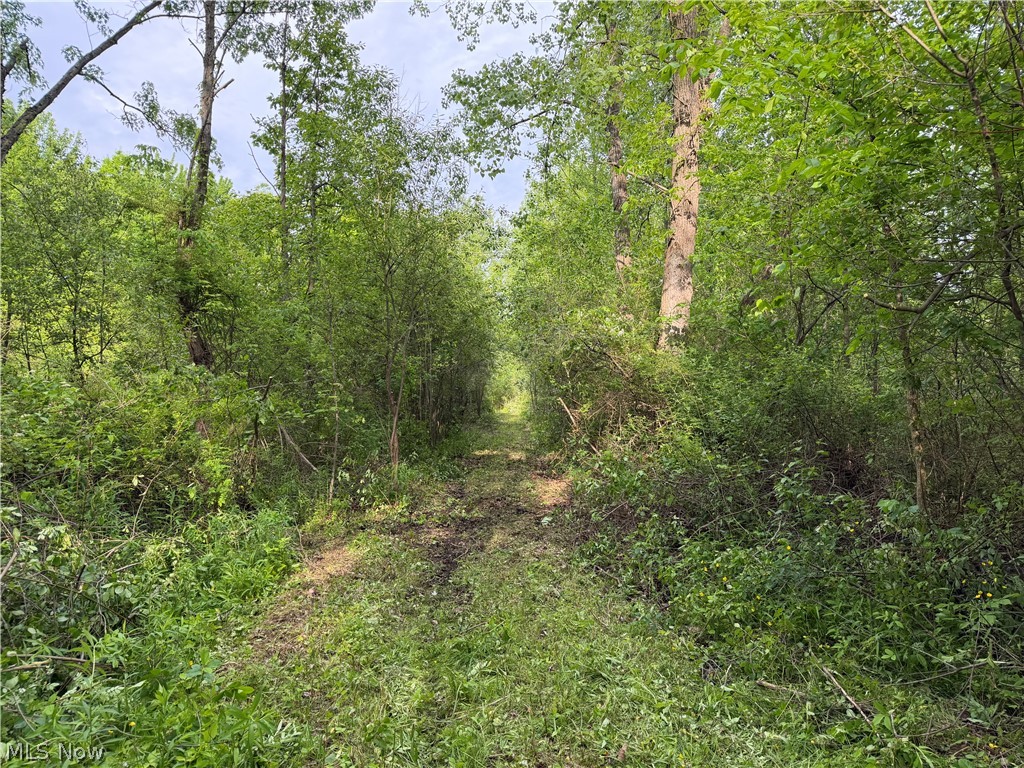 0 Dayton Road Madison, OH 44057 - Photo 12 of 12 Wooded parcel featuring a cleared path and lush green foliage