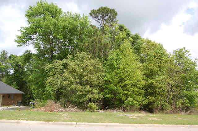 28352 Turkey Branch Drive Daphne, AL 36526 - Photo 1 of 1