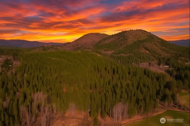 a view of a city with lush green forest