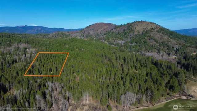 a view of a back yard