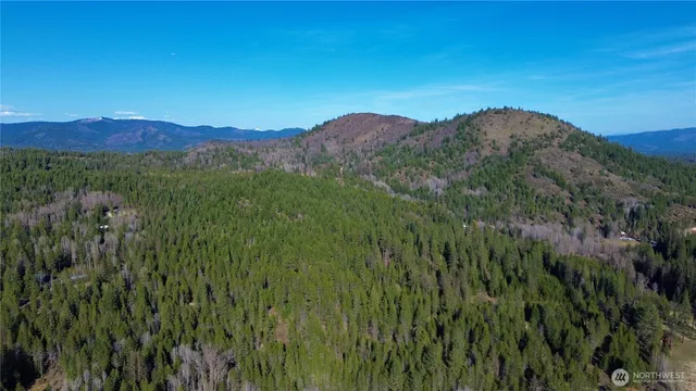a view of a lush green hillside and a mountain view
