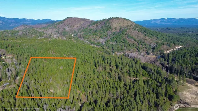 a view of a lush green field with a mountain in the background