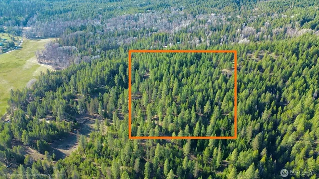 a view of a bunch of plants and trees