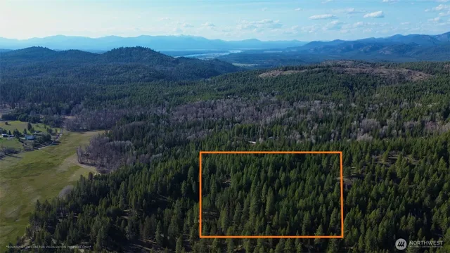 a view of a back yard