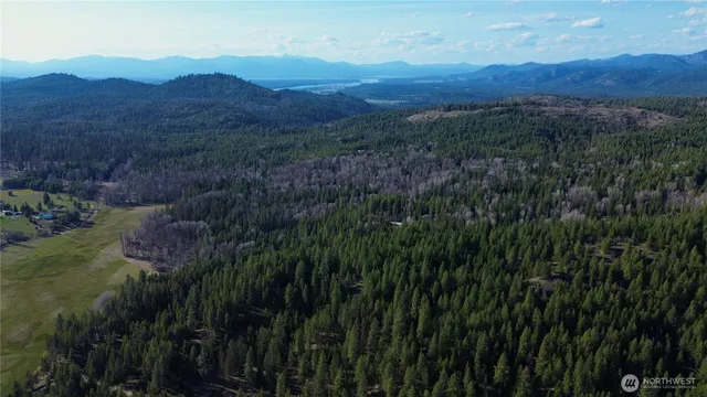 a view of a lush green hillside and a houses
