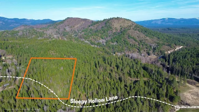 a view of a lush green field with a tree in the background