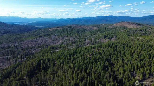 a view of a lush green forest with mountains in the background