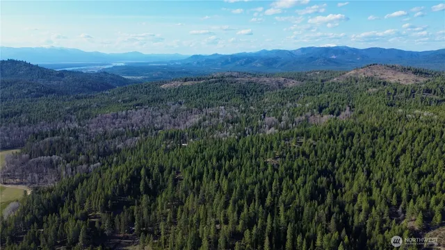 a view of a lush green hillside and a mountain