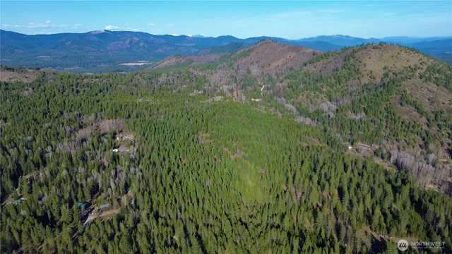 a view of a lush green hillside and a houses
