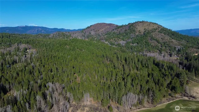 a view of a lush green hillside and a mountain view