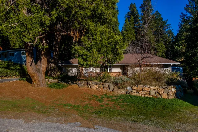 a view of a yard with wooden fence