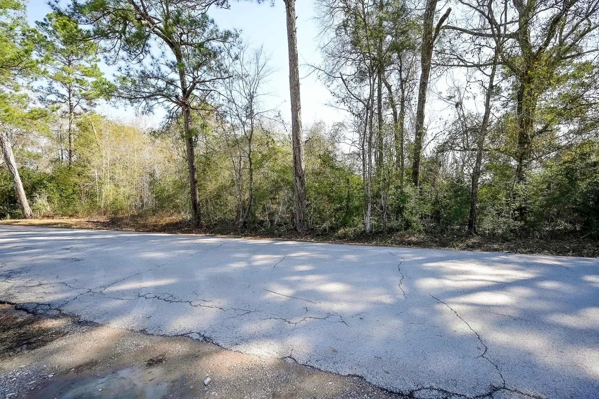 378 County Road 381 Cleveland, TX 77328 - Photo 11 of 15 a view of a yard with a trees