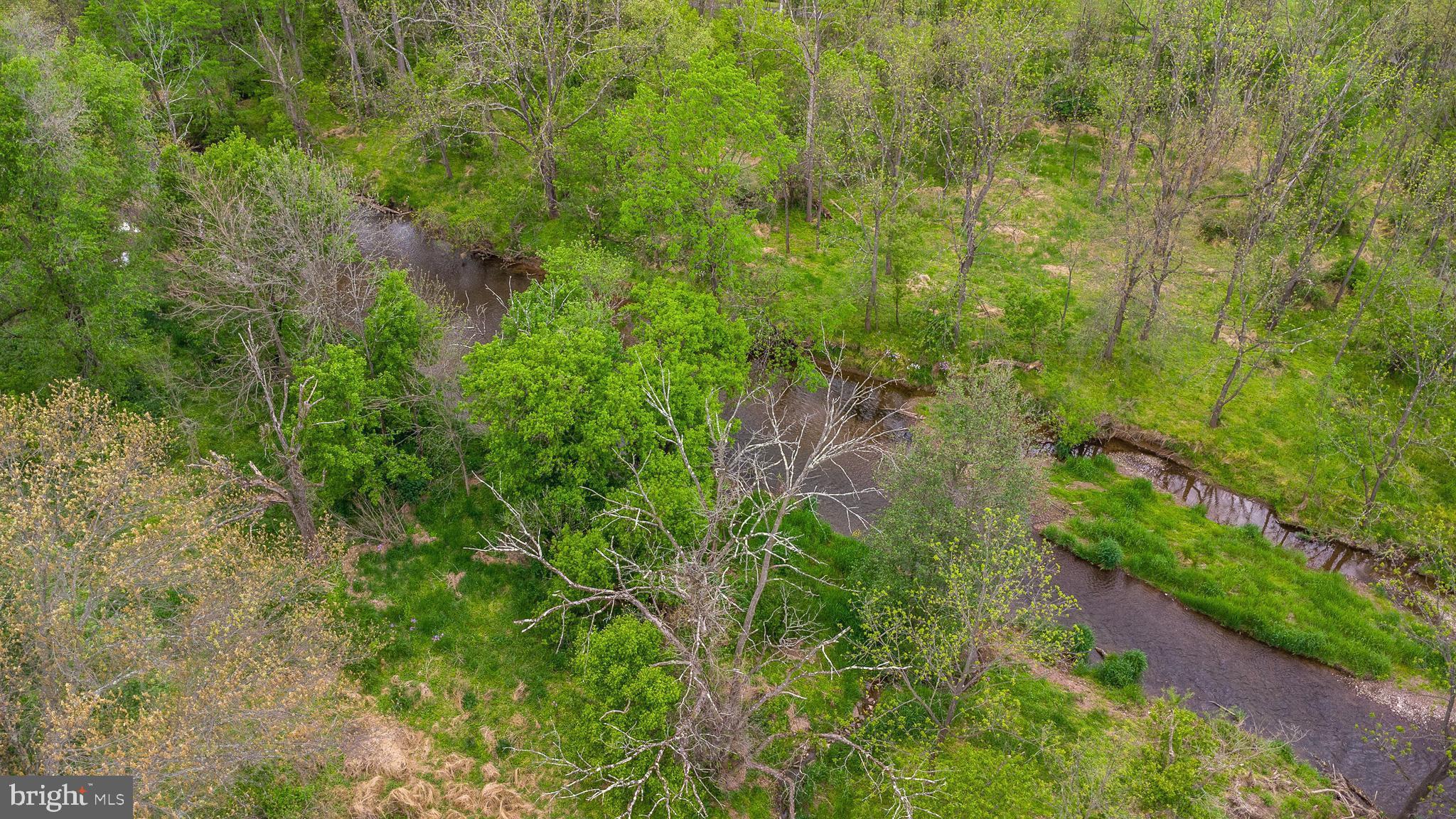 1320 Branch Road Perkasie, PA 18944 - Photo 78 of 84 E. Branch Perkiomen Creek hidden in the woods
