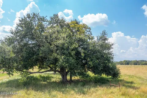 $230,000 | 3000 Higginbotham Highway, Church Point, LA 70525