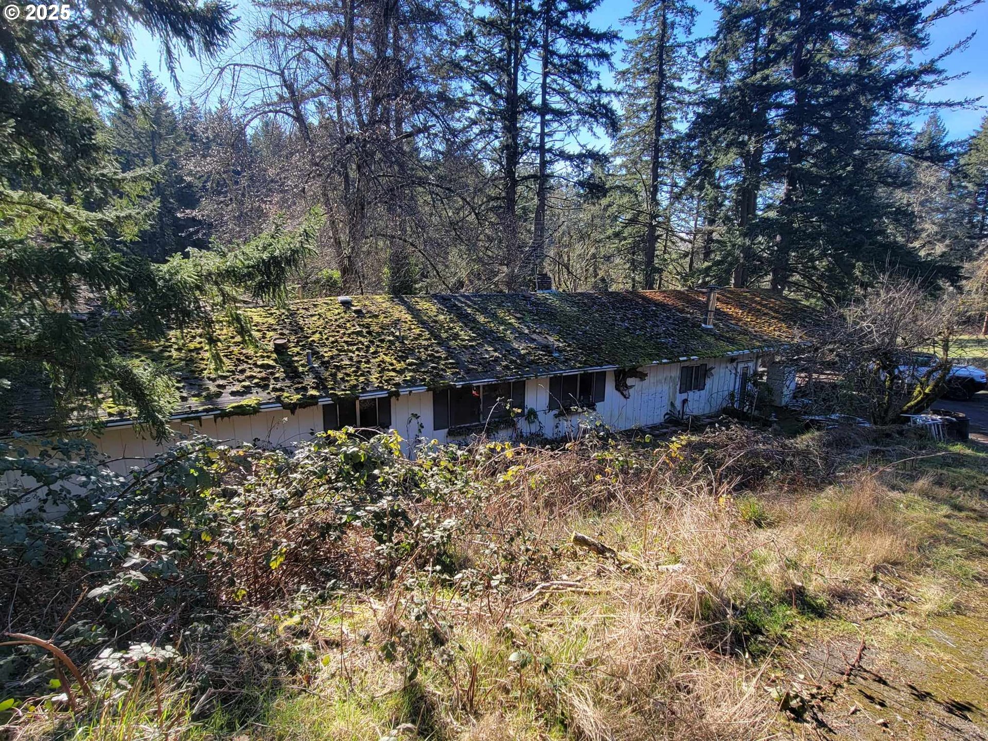 4295 Southwest Homesteader Rd  