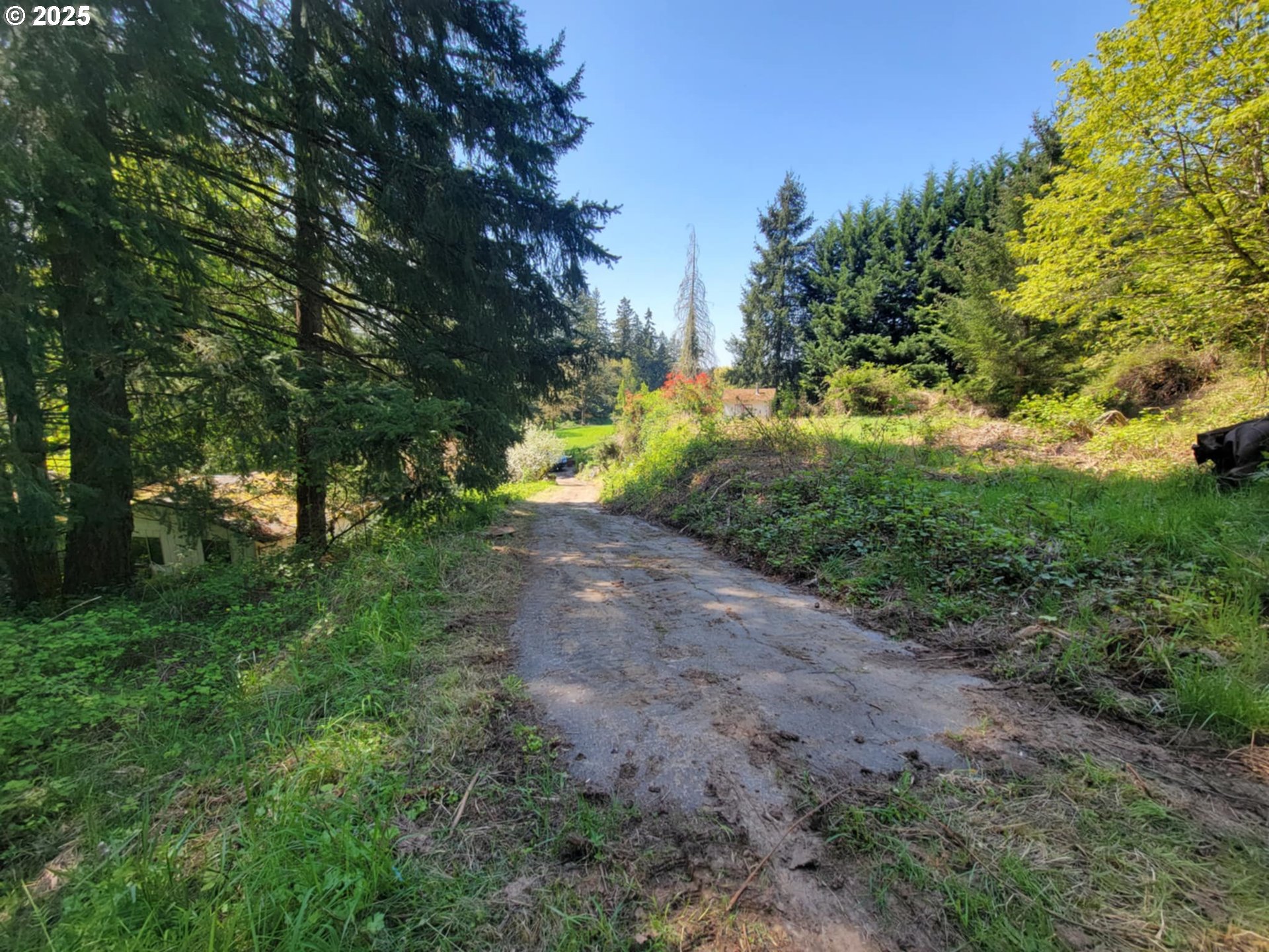 4295 Southwest Homesteader Road Wilsonville, OR 97070 - Photo 17 of 27 a view of backyard with green space