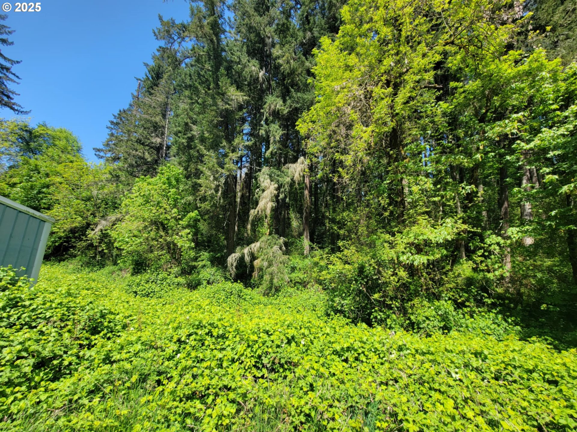 4295 Southwest Homesteader Road Wilsonville, OR 97070 - Photo 21 of 27 a view of a garden
