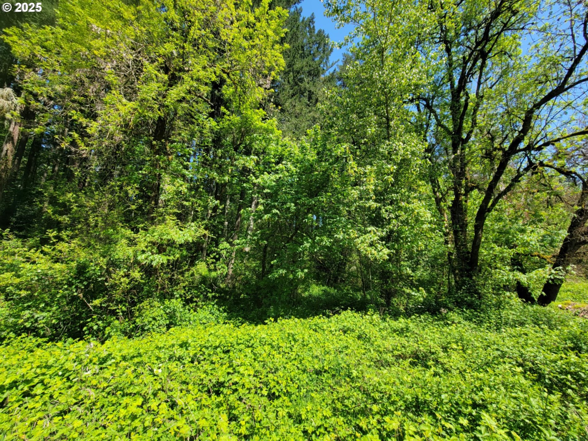 4295 Southwest Homesteader Road Wilsonville, OR 97070 - Photo 22 of 27 a view of a garden