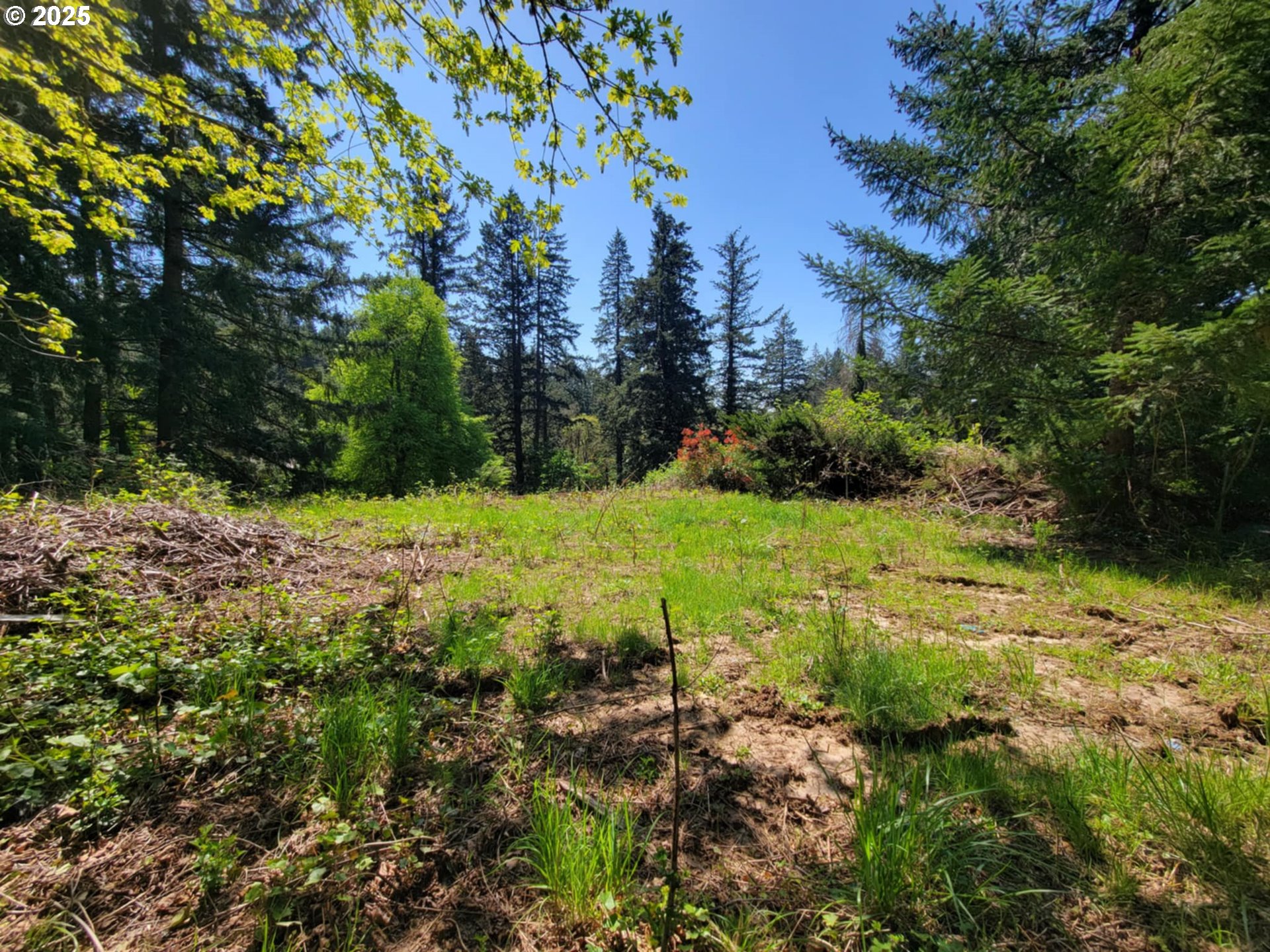 4295 Southwest Homesteader Road Wilsonville, OR 97070 - Photo 23 of 27 a view of a yard with large trees