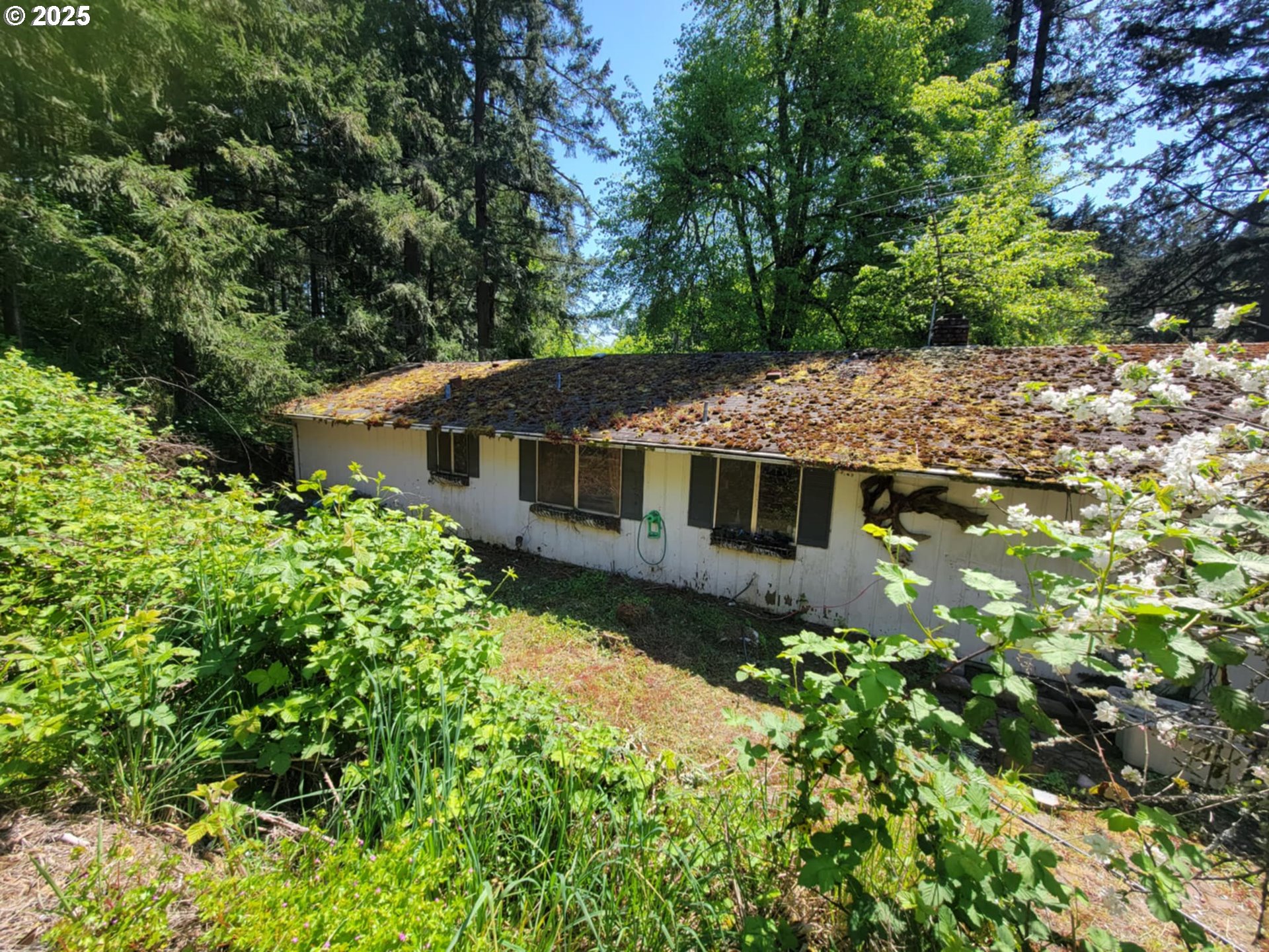 4295 Southwest Homesteader Road Wilsonville, OR 97070 - Photo 24 of 27 a aerial view of a house with a yard