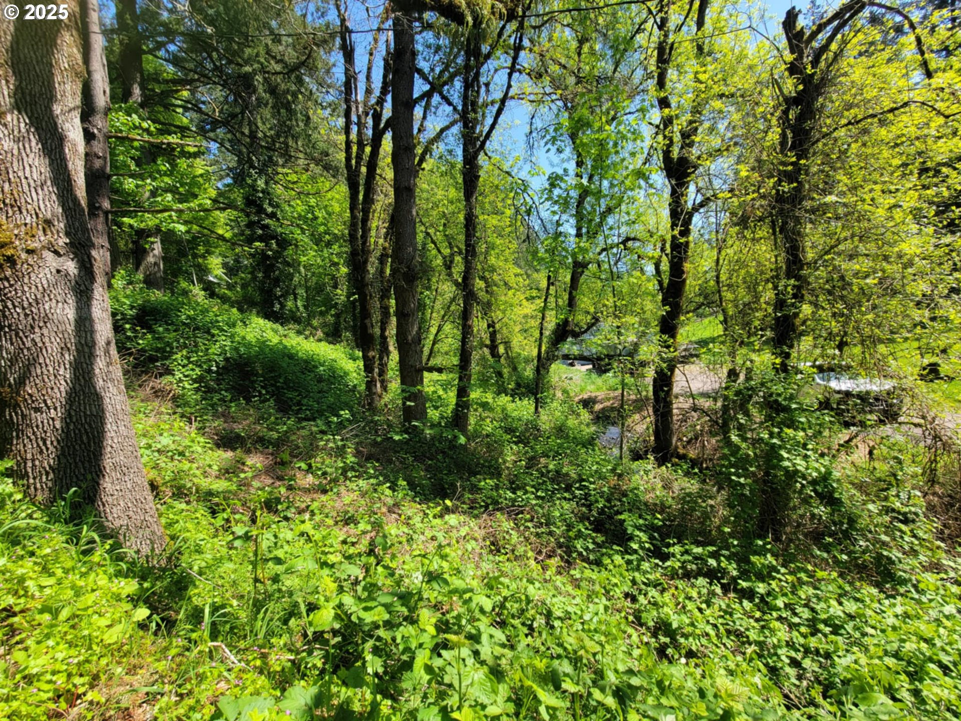 4295 Southwest Homesteader Road Wilsonville, OR 97070 - Photo 26 of 27 a view of a garden with plants