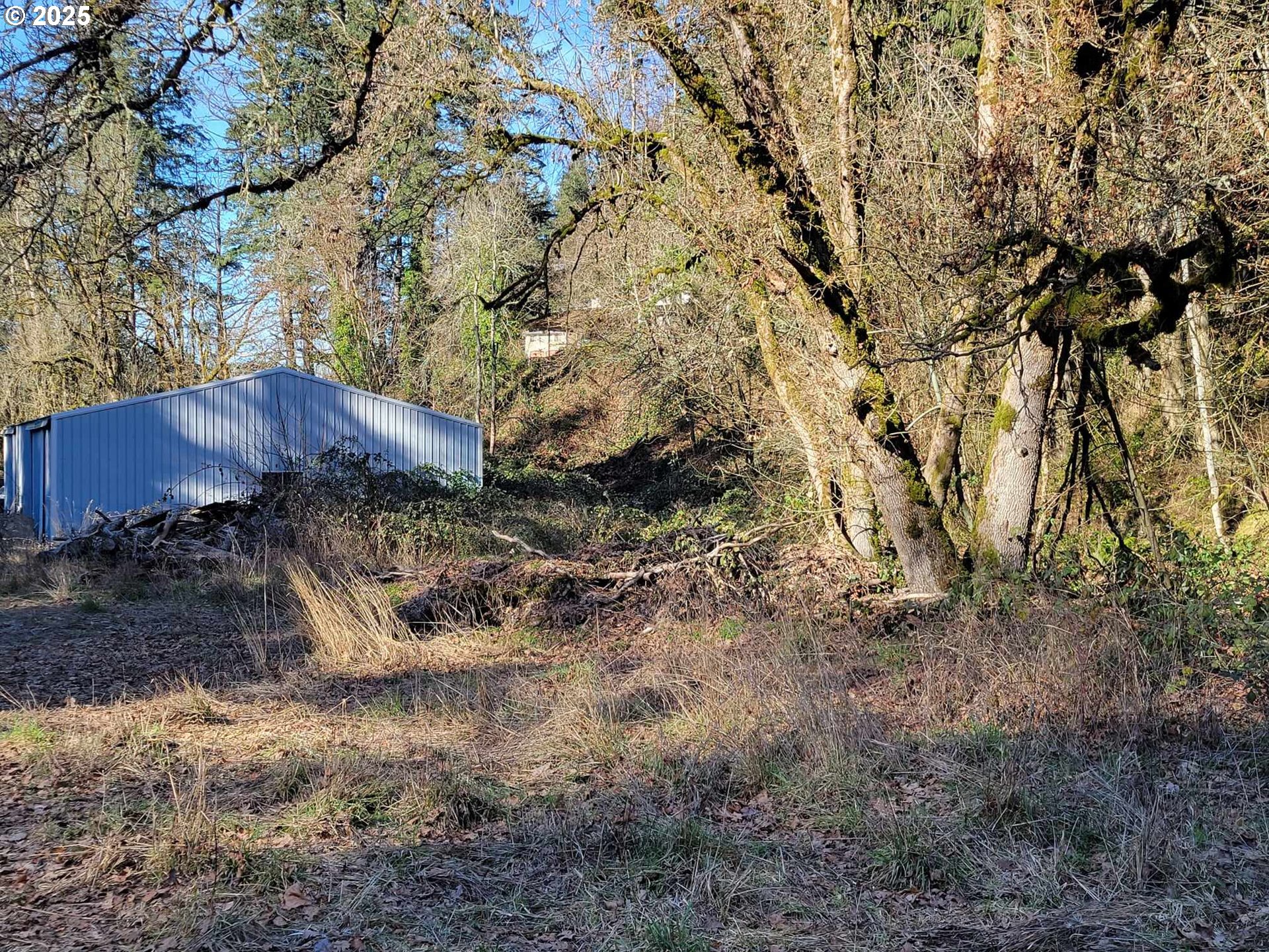 4295 Southwest Homesteader Road Wilsonville, OR 97070 - Photo 5 of 27 a view of a dry yard