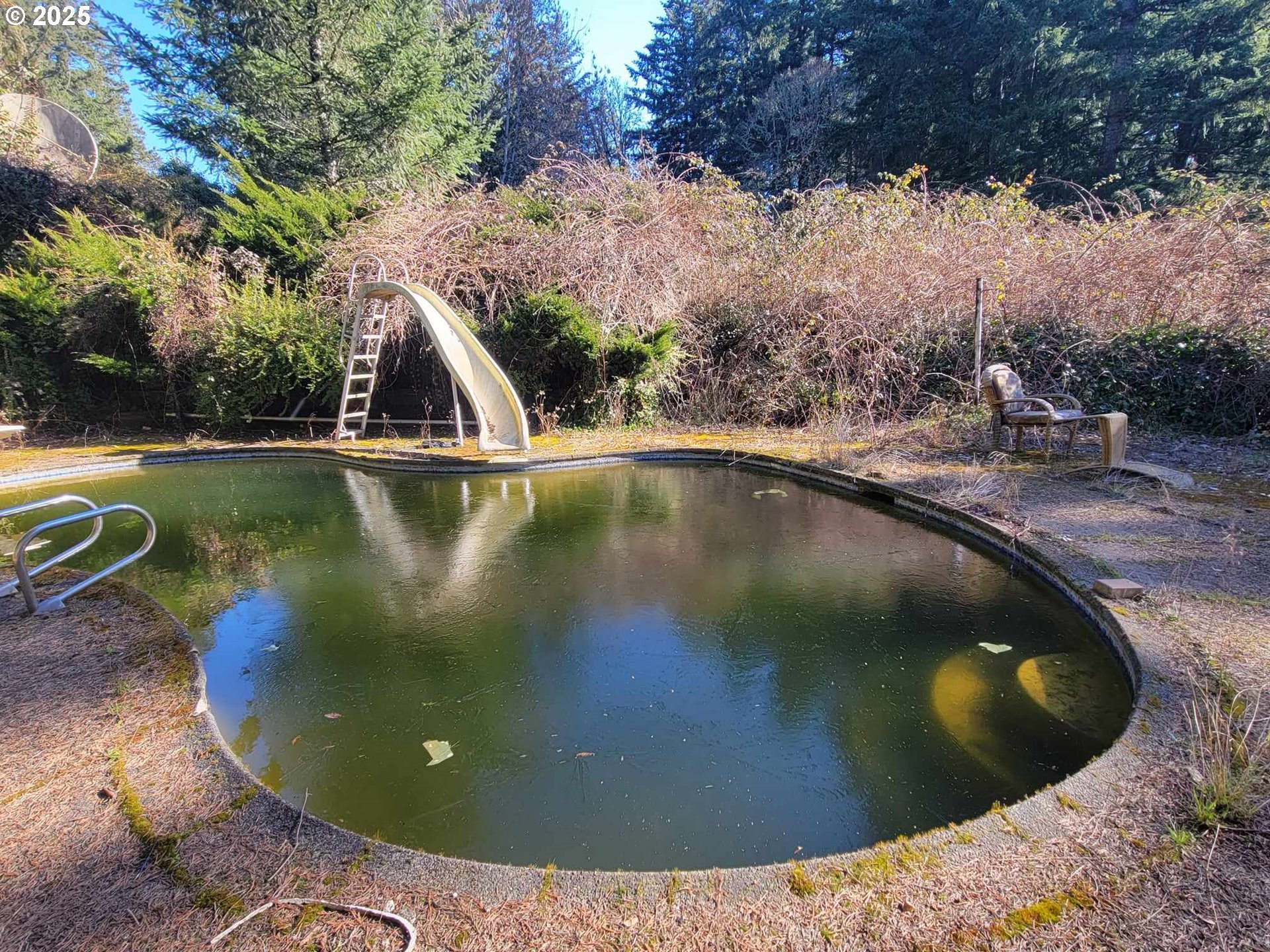 4295 Southwest Homesteader Road Wilsonville, OR 97070 - Photo 7 of 27 a view of a swimming pool with a yard