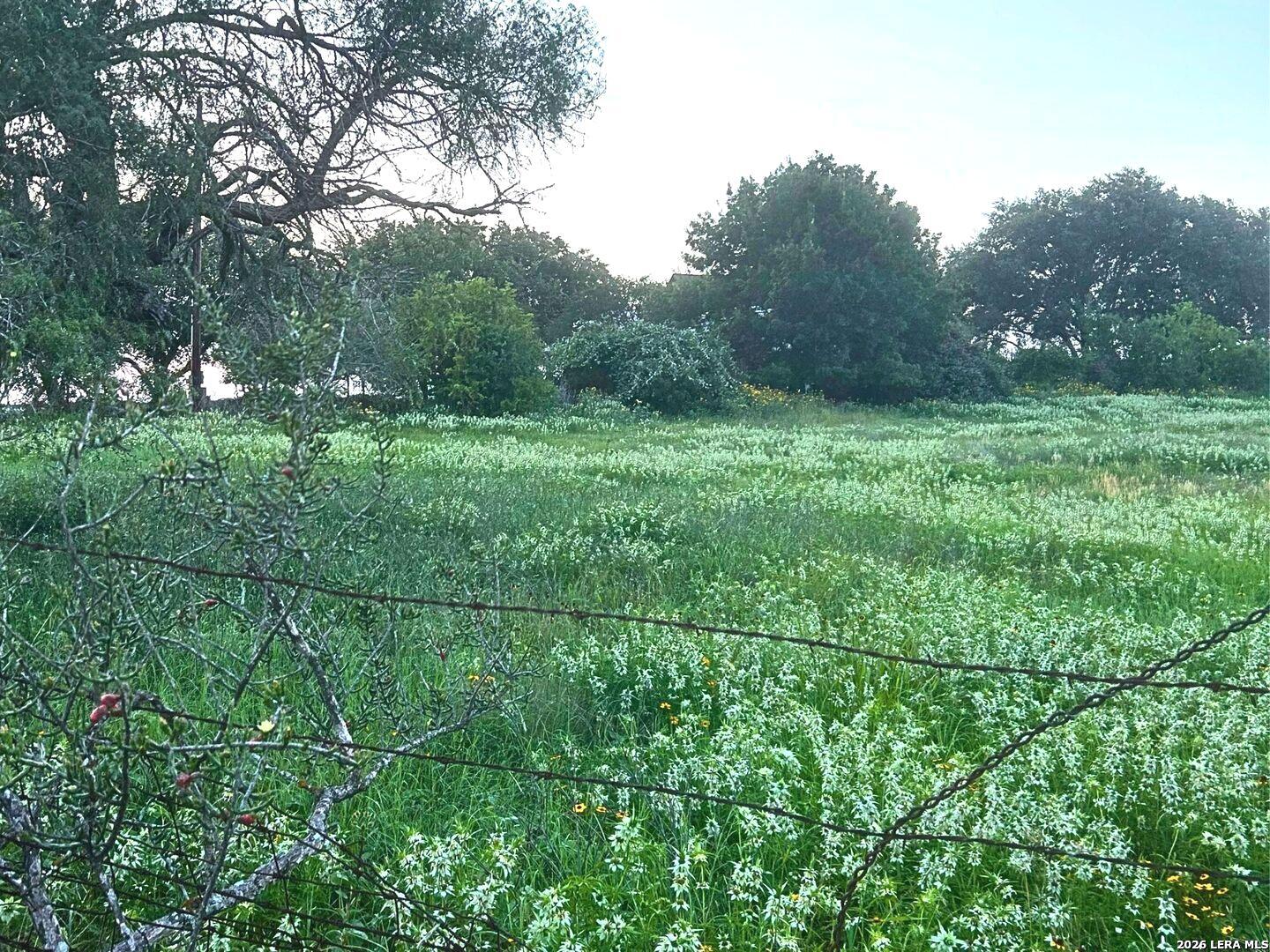1460 Sandy Elm Road La Vernia, TX 78121 - Photo 23 of 25