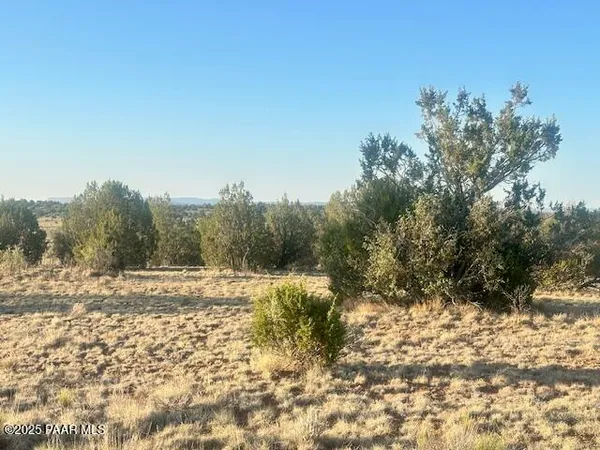 a view of a yard with trees