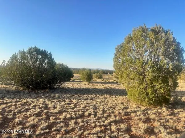 a view of a yard with wooden fence