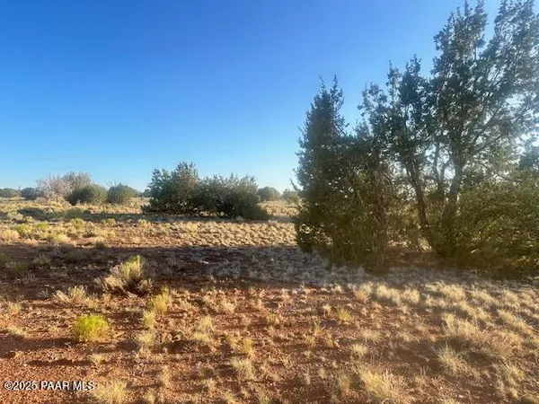 a view of mountain view with trees in background