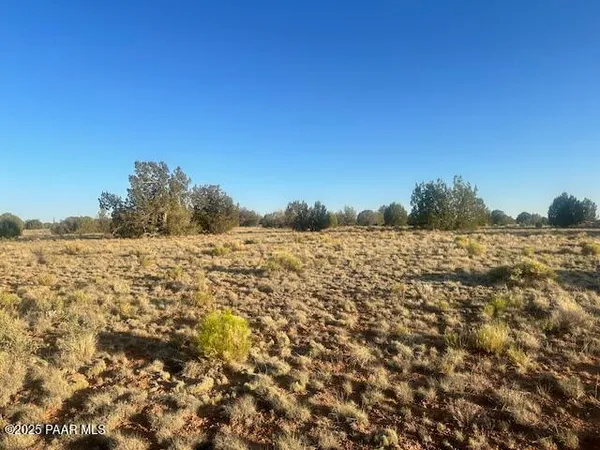a view of a large building with a mountain in the background