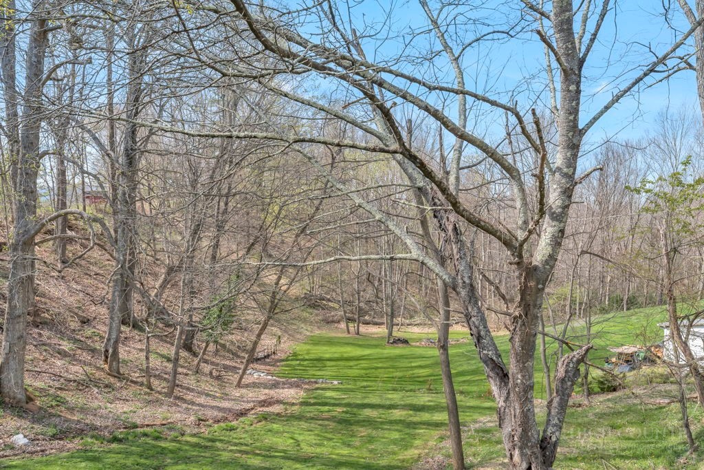 656 Mulatto Mountain Road West Jefferson, NC 28694 - Photo 4 of 35 a backyard of a house with lots of green space