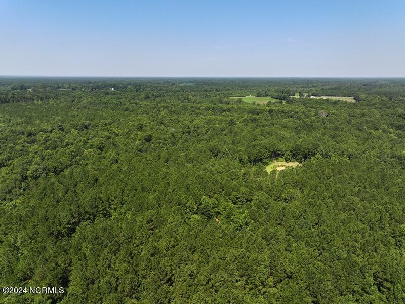 Tbd Swimming Hole Road Delco, NC 28436 - Photo 3 of 21 DJI_20240715113921_0359_D