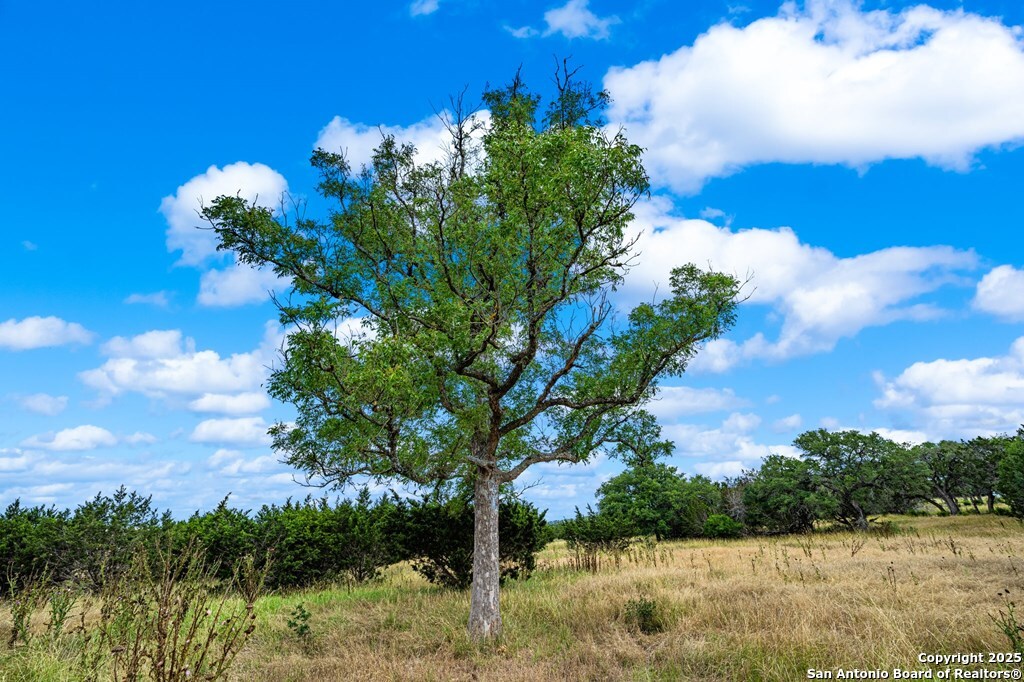 430 Cool Creek Rd Center Point Kerrville, TX 78028 - Photo 12 of 17 a view of a yard