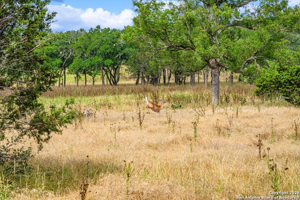 430 Cool Creek Rd Center Point Kerrville, TX 78028 - Photo 13 of 17 a view of lake view