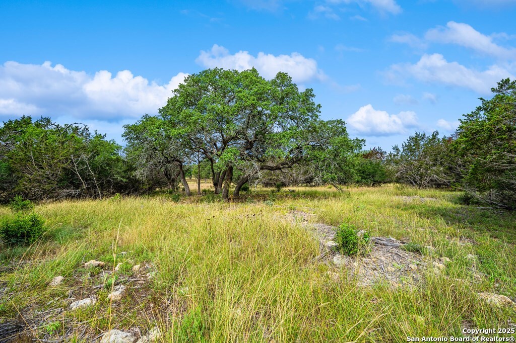 430 Cool Creek Rd Center Point Kerrville, TX 78028 - Photo 14 of 17 a view of yard with green space