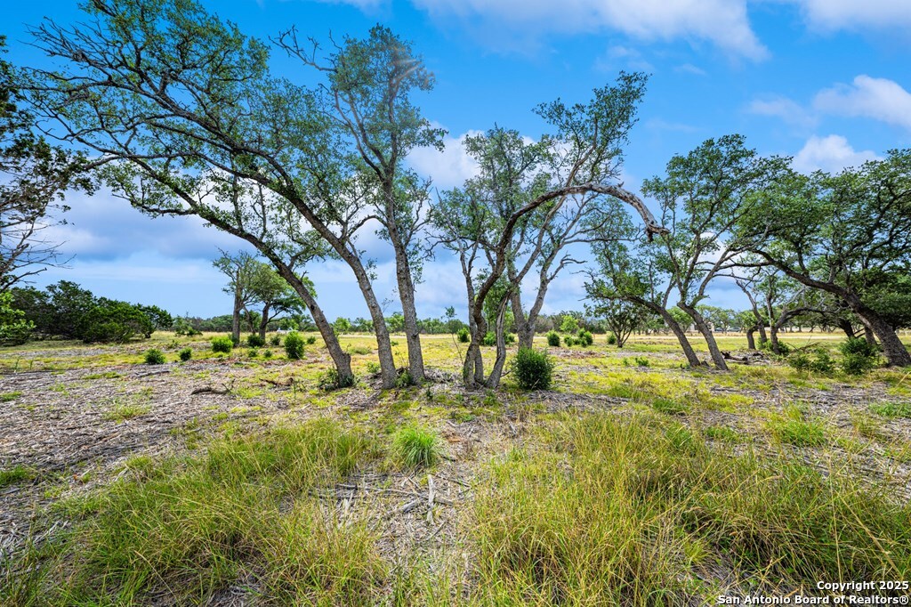 430 Cool Creek Rd Center Point Kerrville, TX 78028 - Photo 10 of 17 a view of yard with green space