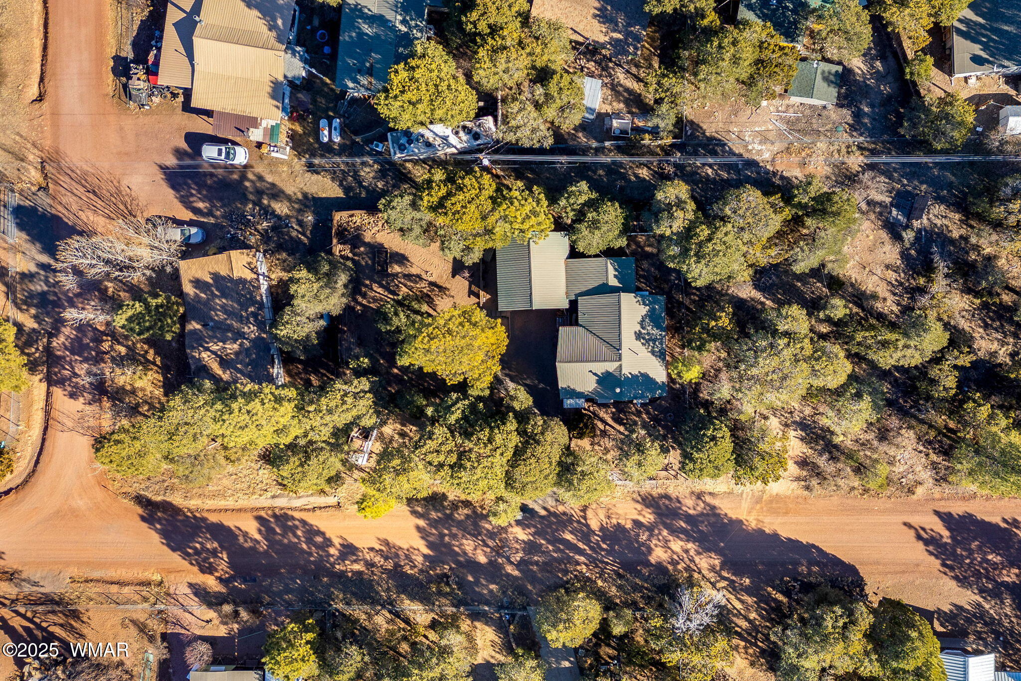 3317 Rim Lakes Drive Overgaard, AZ 85933 - Photo 29 of 33 a view of a tree