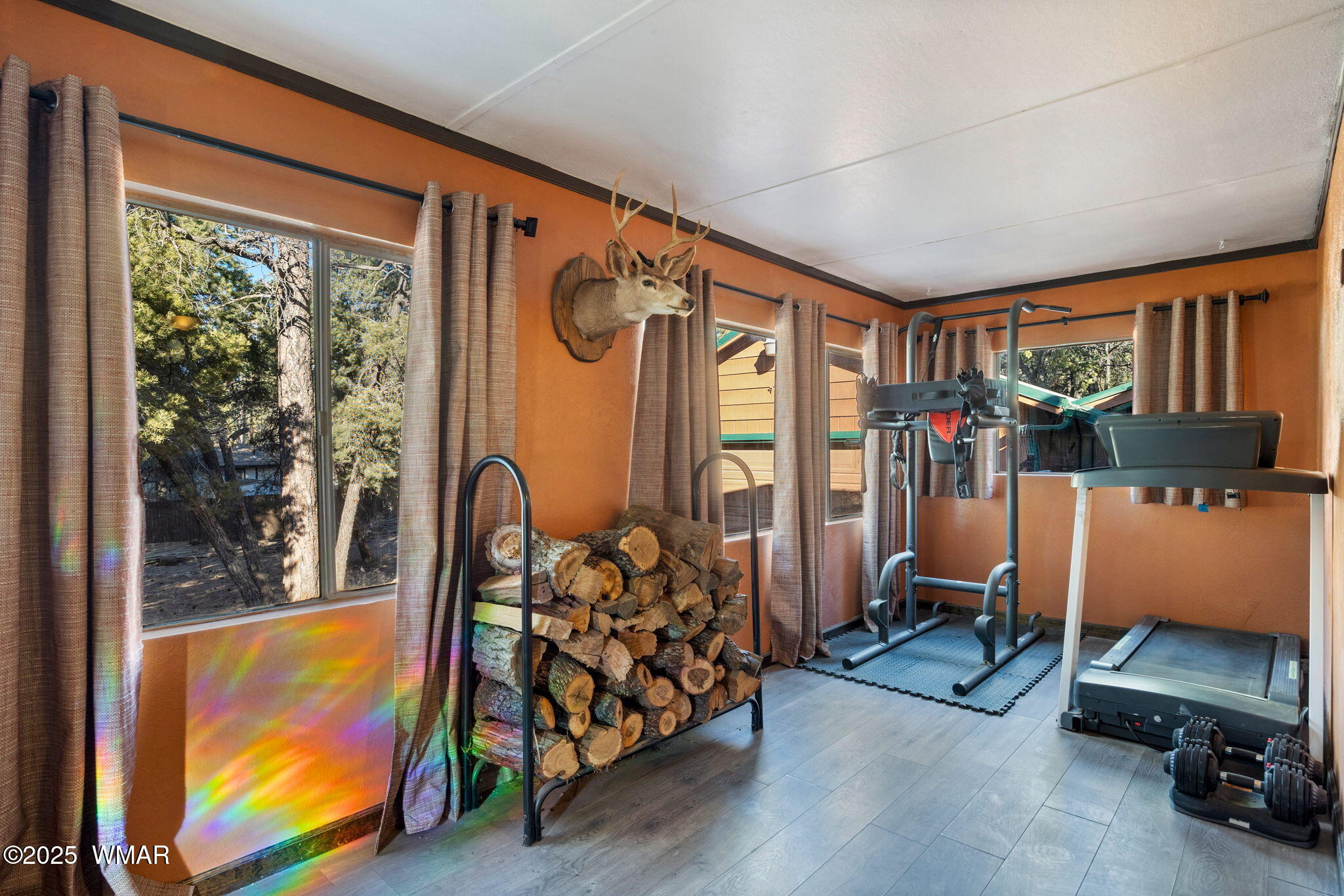3317 Rim Lakes Drive Overgaard, AZ 85933 - Photo 5 of 33 a view of a room with gym equipment