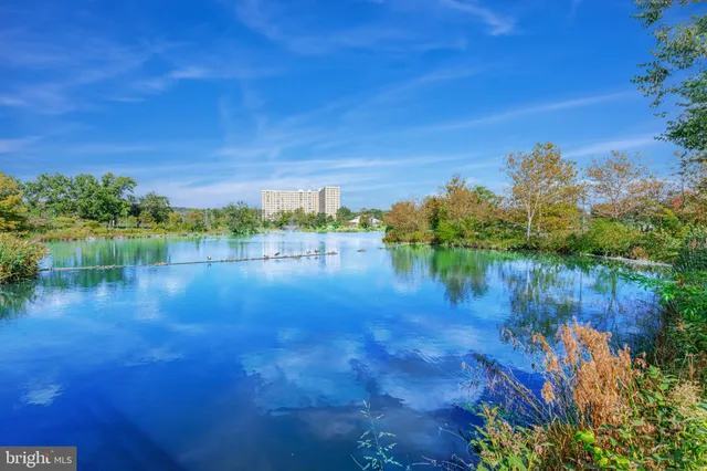 a view of a lake with houses in the back
