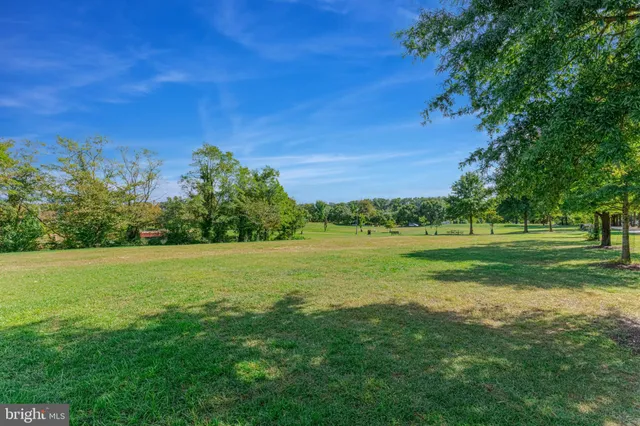a view of field with tall trees