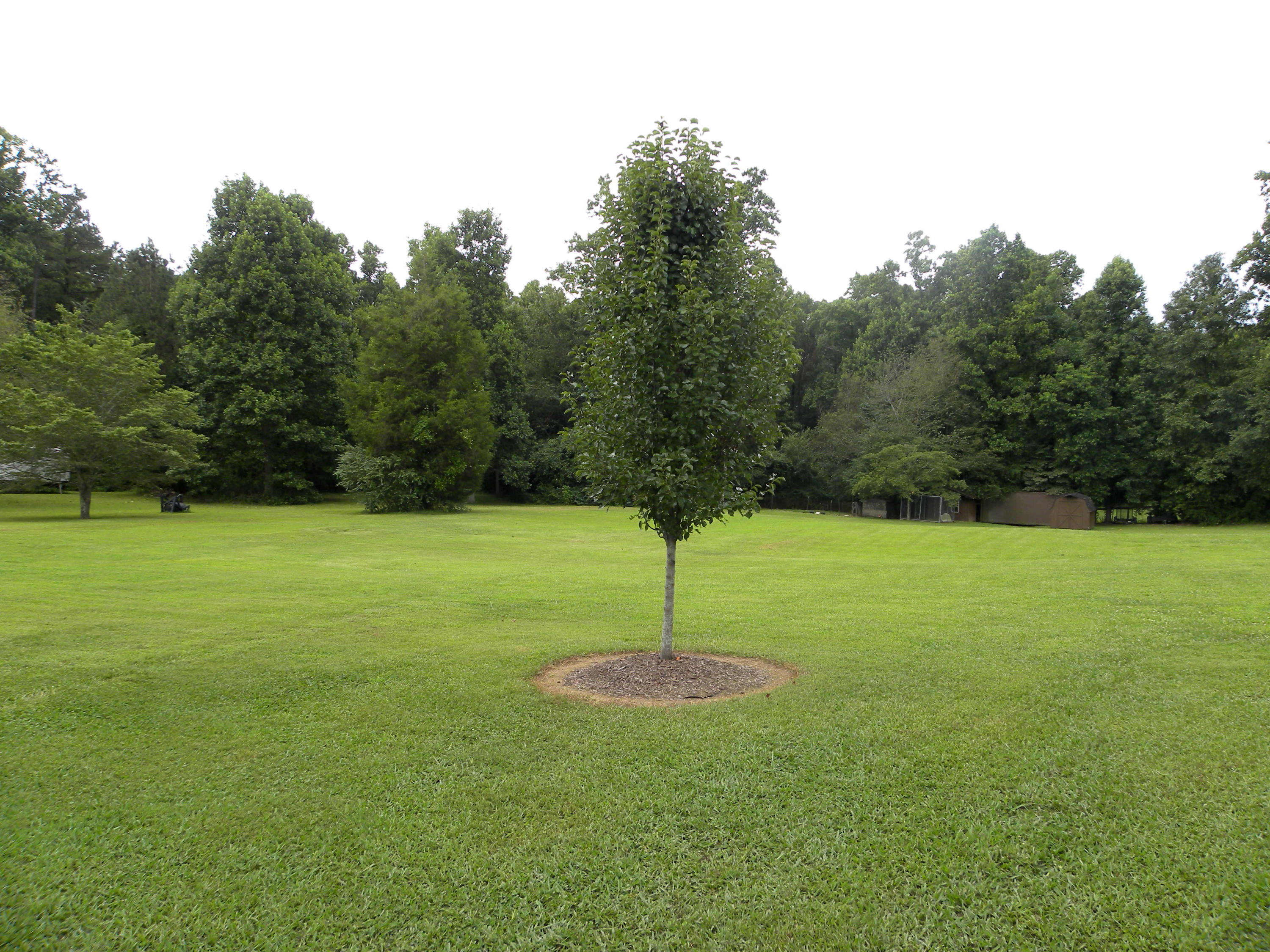 127 David Road Clinton, TN 37716 - Photo 20 of 20 127 David Road