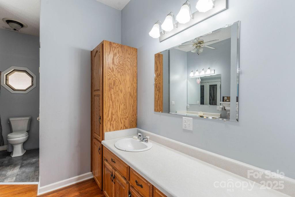 203 Providence Church Road Forest City, NC 28043 - Photo 18 of 46 a bathroom with a sink and a mirror with toilet