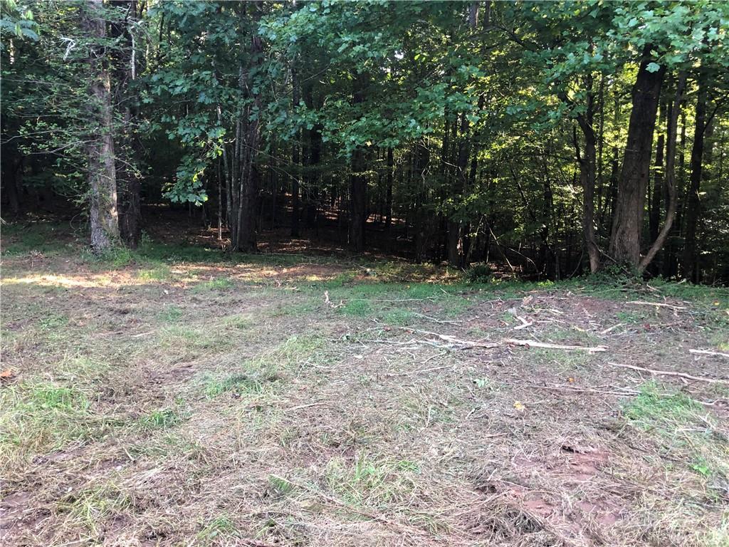 4143 Talking Rock Road Talking Rock, GA 30175 - Photo 2 of 9