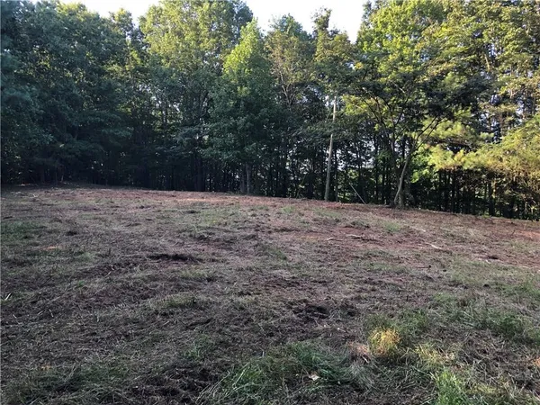 a view of a yard with trees