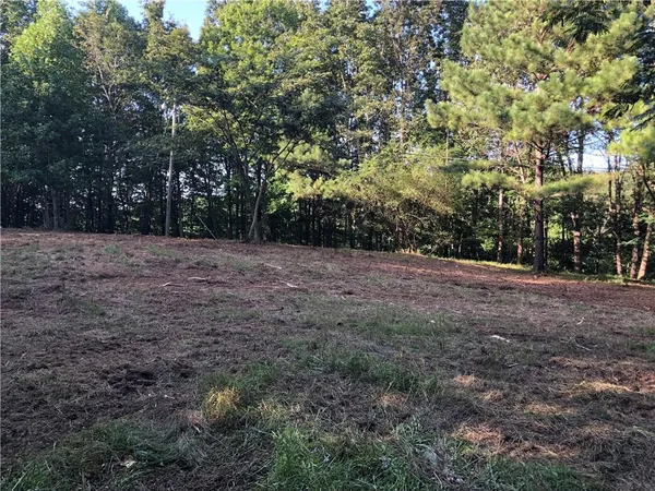 a view of an outdoor space with trees