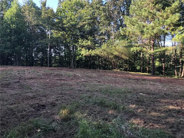 a view of an outdoor space with trees