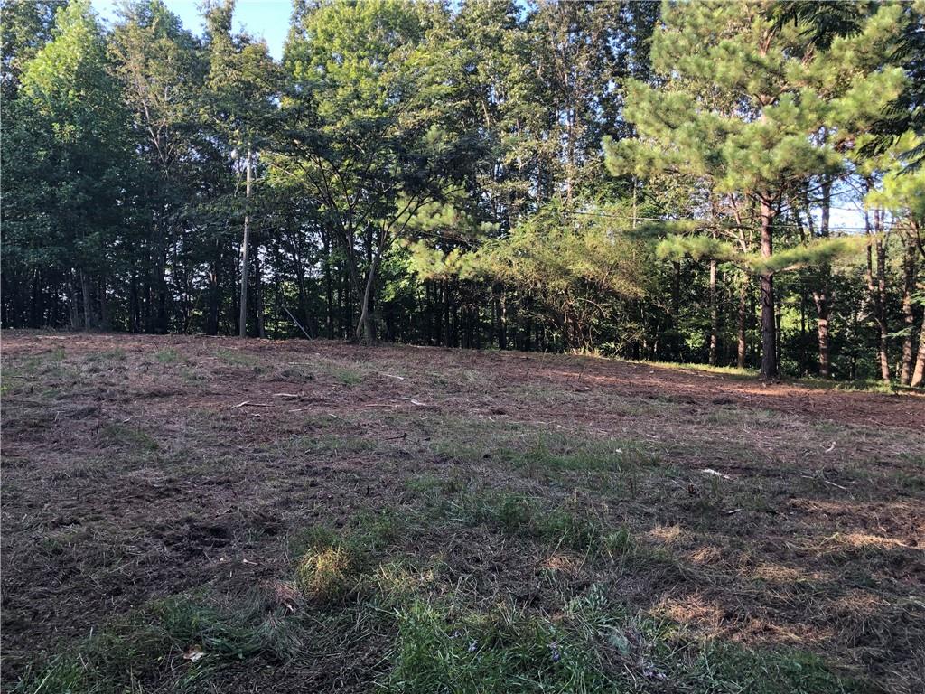 4143 Talking Rock Road Talking Rock, GA 30175 - Photo 5 of 9