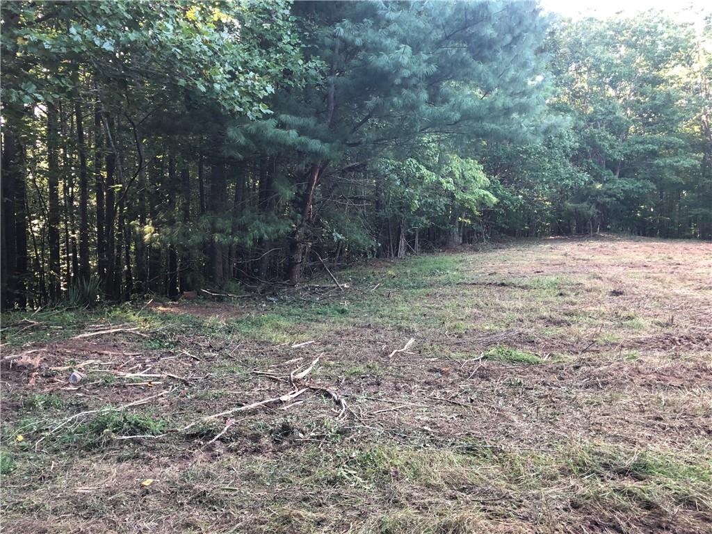 4143 Talking Rock Road Talking Rock, GA 30175 - Photo 6 of 9